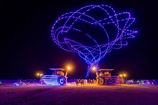 Omelette du Fromage | Digital Growth Agency