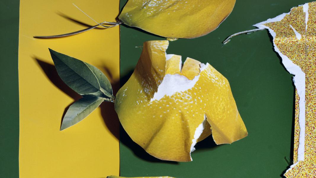 Omelette du Fromage | Digital Growth Agency