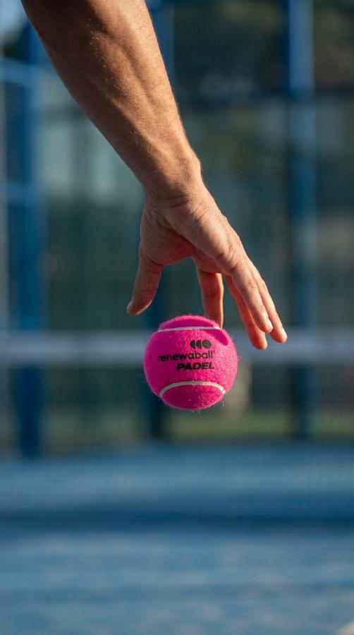 Hand laat een roze Renewaball vallen