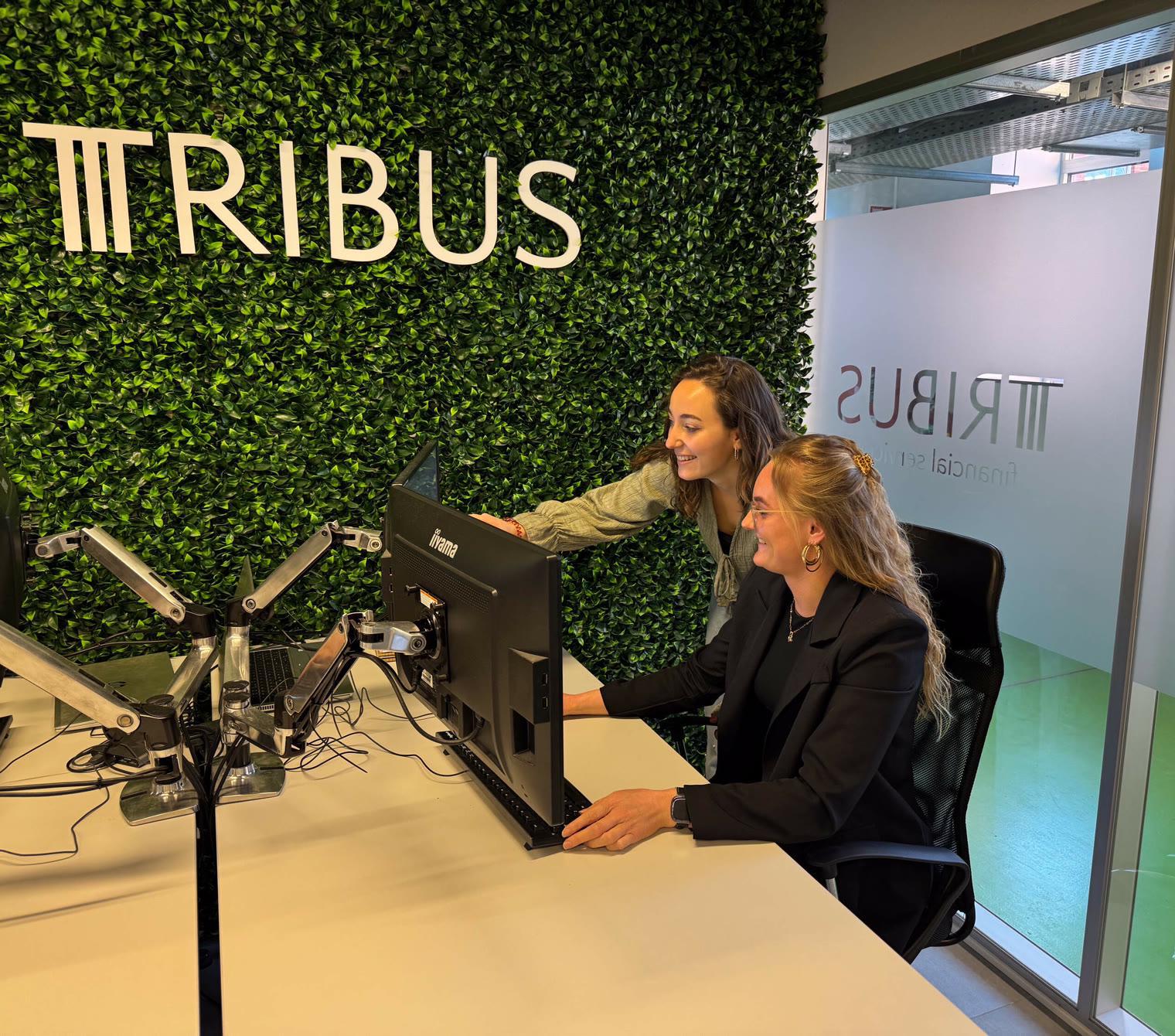 Two Tribus employees at a desk in front of the green Tribus wall