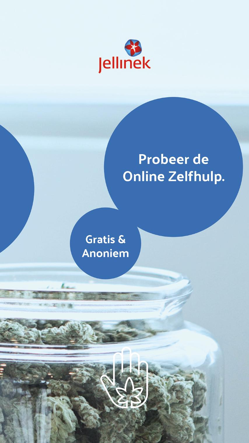 Omelette du Fromage | Digital Growth Agency