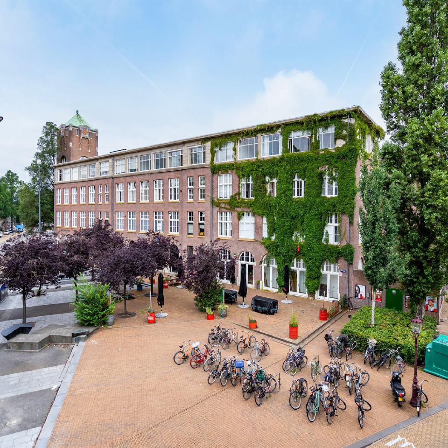 Omelette du Fromage | Digital Growth Agency