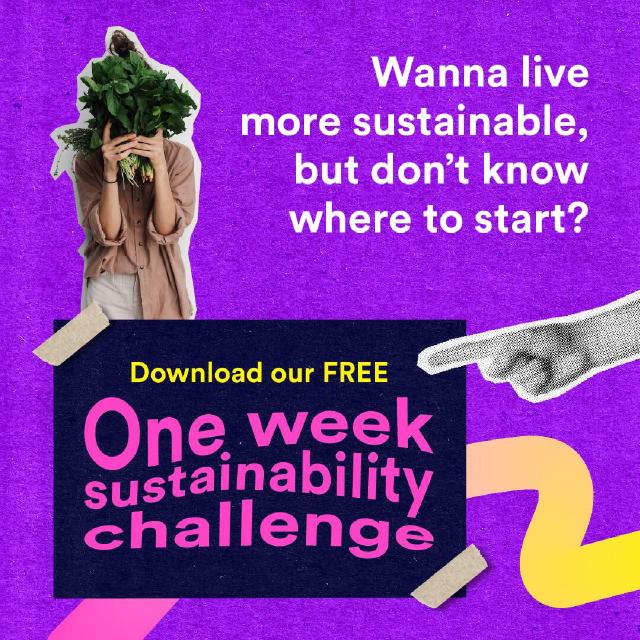 Omelette du Fromage | Digital Growth Agency